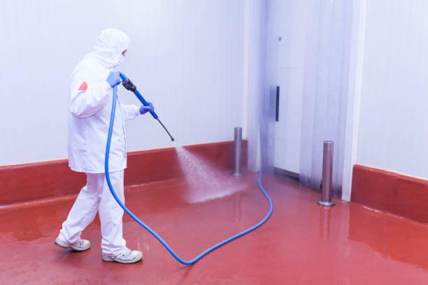 Best Parking Lot Cleaning in Mino, CA